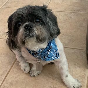 Meet your Posher, Maela